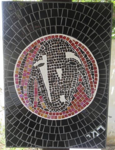 כבשה 11